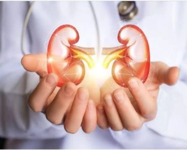 Foods That Can Damage Your Kidney If Consumed On A Regular Basis
