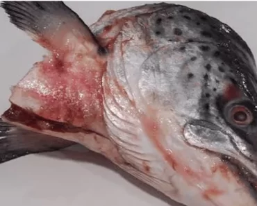 What Happens To Your Brain If You Eat Fish Head.