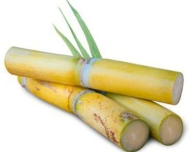 Health Benefits Of Eating Sugarcane