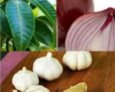 Boil mango leaves, ginger, garlic and onion in hot water and drink to treat these 3 common diseases