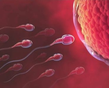Male Infertility Warning Signs You Should Never Ignore