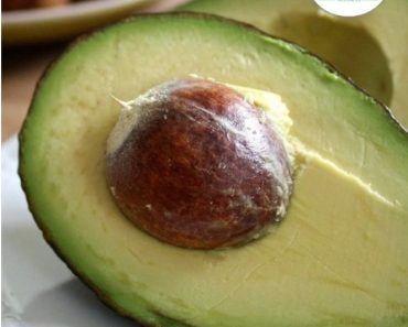 Avocados are healthy for your body here is why you need to eat them daily, doctor explains
