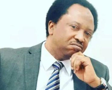 BREAKING NEWS: Reactions to Shehu Sani’s claim that the naira was supposed to float but is instead sinking
