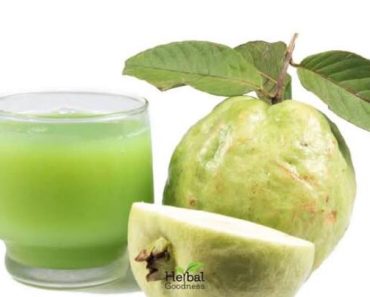 See How To Use Guava Leaves To Relieve Weakness In Bed