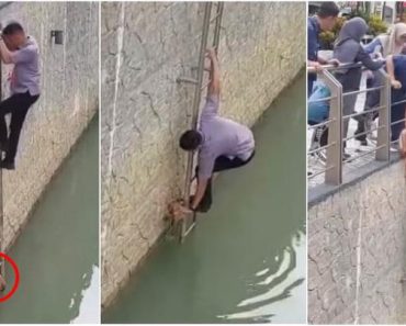 Drama As Johor City Council Worker Receives Major Praise for Rescuing Cat That Fell Into A River