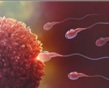 3 Causes Of Watery Sperm/Semen In Men, And How It Affects Overall Health