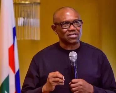 BREAKING: Peter Obi Planning To Run A Joint Ticket With El-Rufai Against Tinubu In 2027 – Bwala Alleges