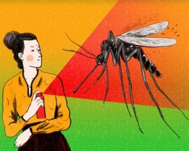 Mosquitoes Dislike The Following 7 Things. Which Will Cause Them Run From Bitting You.
