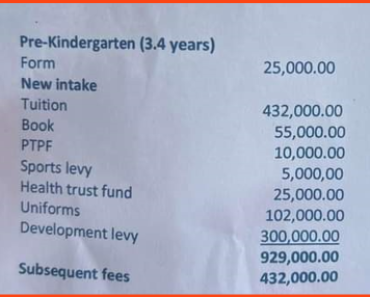 JUST IN: Lady Shares Bill She Received To Enrol Her Child In Pre-Kindergarten