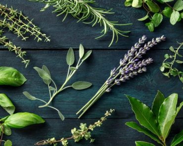 7 Popular Herbs You Didn’t Know Can Ward Off Evil…Number 5 Is Exceptional.