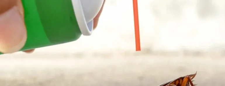 Woman’s Attempt to Kill Cockroach Sparks Apartment Fire, Leaving Neighbour Dead